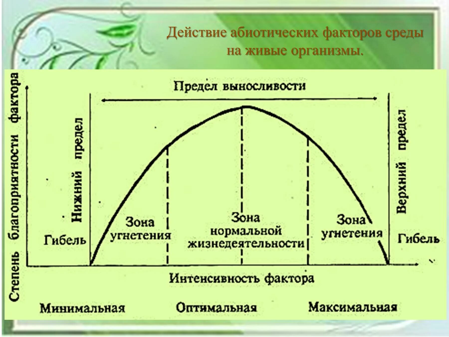 Абиотические факторы в жизни растений. График воздействия абиотических факторов среды на организм. Схема влияния экологических факторов. Действие факторов среды на живые организмы. Схема действия среды на живые организмы.