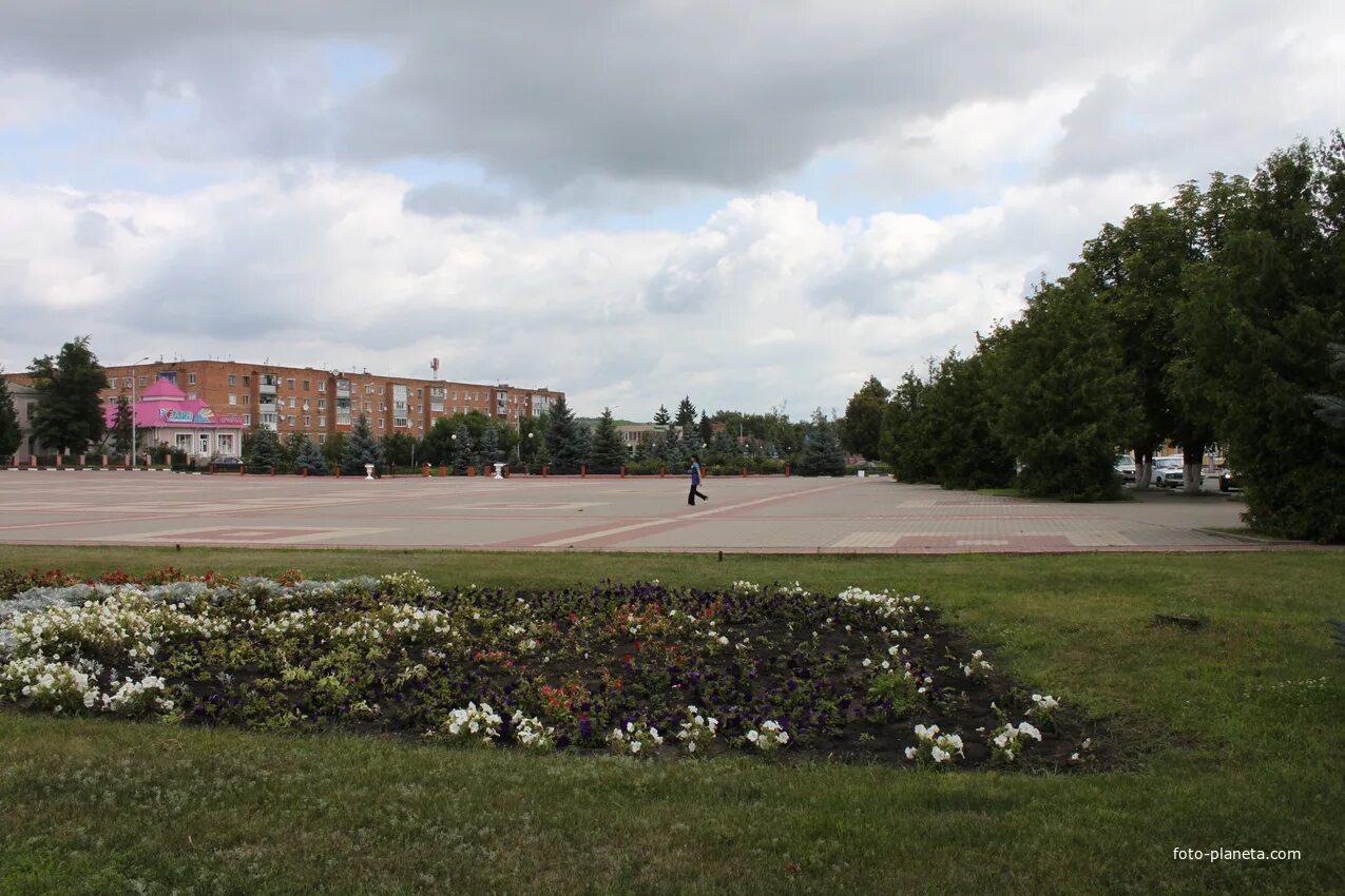 Волоконовка Белгородская область. Аллея славы Волоконовка. Поселок Волоконовка. Волоконовка площадь.