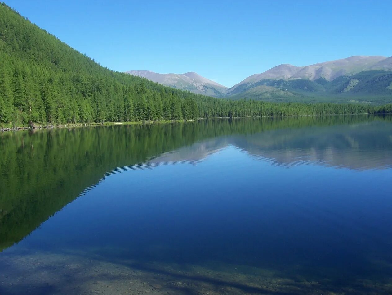 Киргизия сары челек заповедник. Озеро арейское забайкальский край. Оз баланкуль хакасия. Тайга алтай телецкое озеро. Алтай озеро яровое природа.