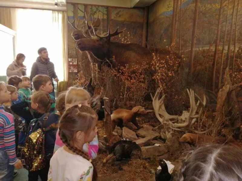 Краеведческий музей покров. Омский краеведческий музей. Детский сад на экскурсии в музее. Дети посетили краеведческий музей. Краеведческий музей цивильск.