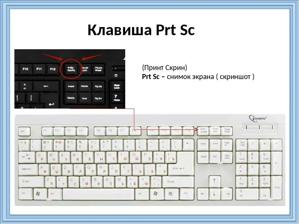 Область экрана горячие клавиши. Скриншот экрана сочетание клавиш. Сочетание клавиш для скриншота. Принт скрин кнопка на клавиатуре. Принтскрин комбинация клавиш.
