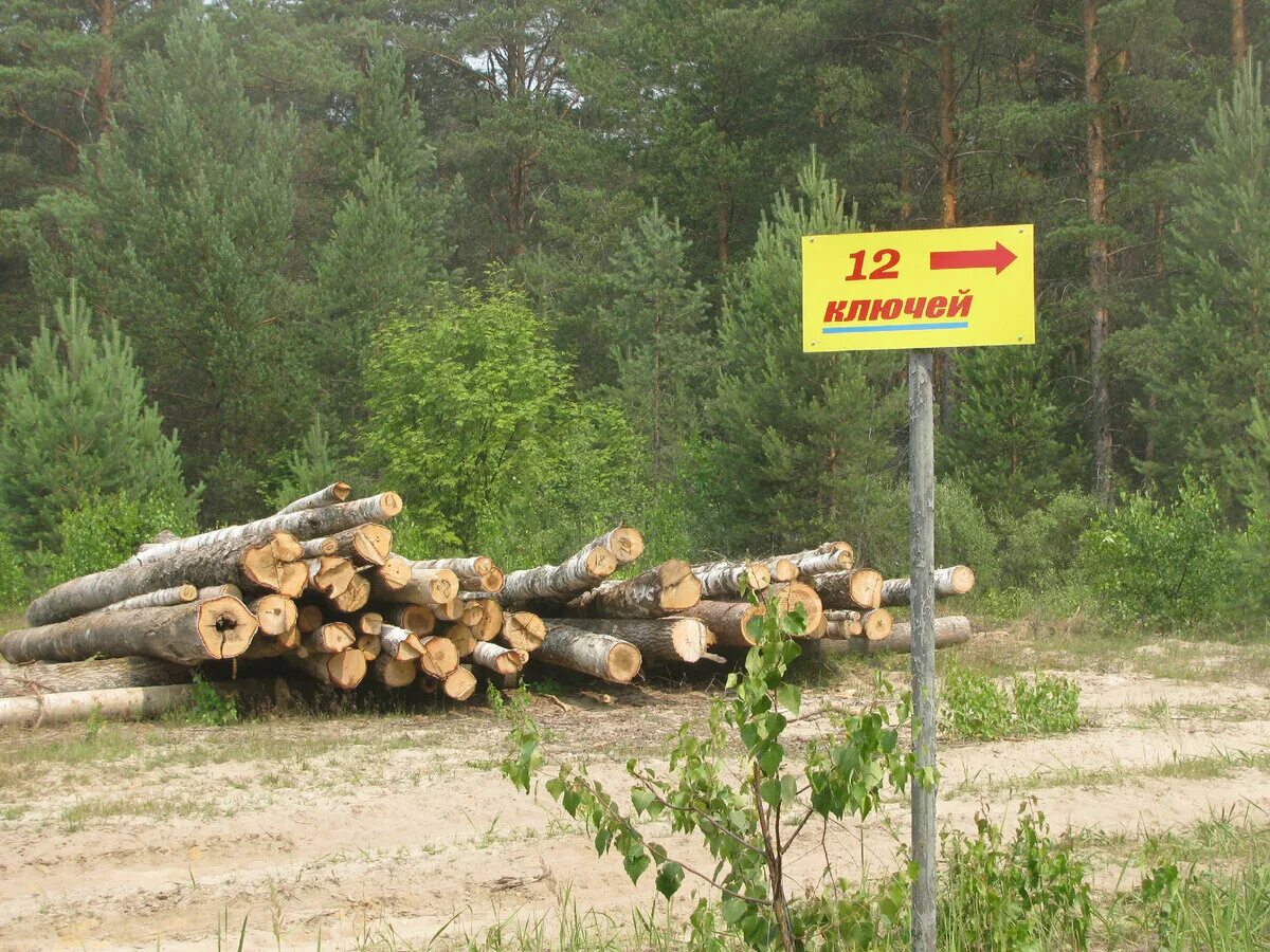 Большие рымы. Большие рымы. Большие рымы. Большие рымы. 12 ключей костромская область святой источник.