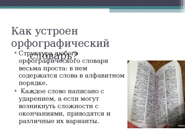 Как пишется слово матрац словарь. Строение словарной статьи. Структура словарной статьи орфографического словаря. Структура орфографического Словарная статья. Структура статьи Орфографический словарь.