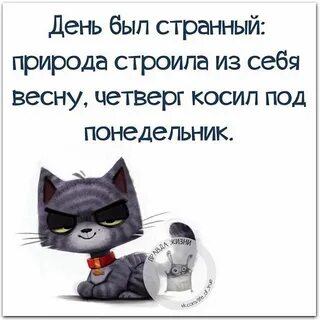 День был странным