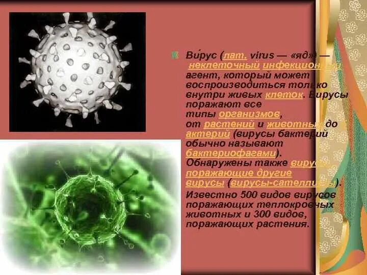 Почему вирусы можно. Вирусы имеют неклеточное строение. Неклеточные организмы. Форма жизни вирусов. Инфекционные агенты неклеточные.