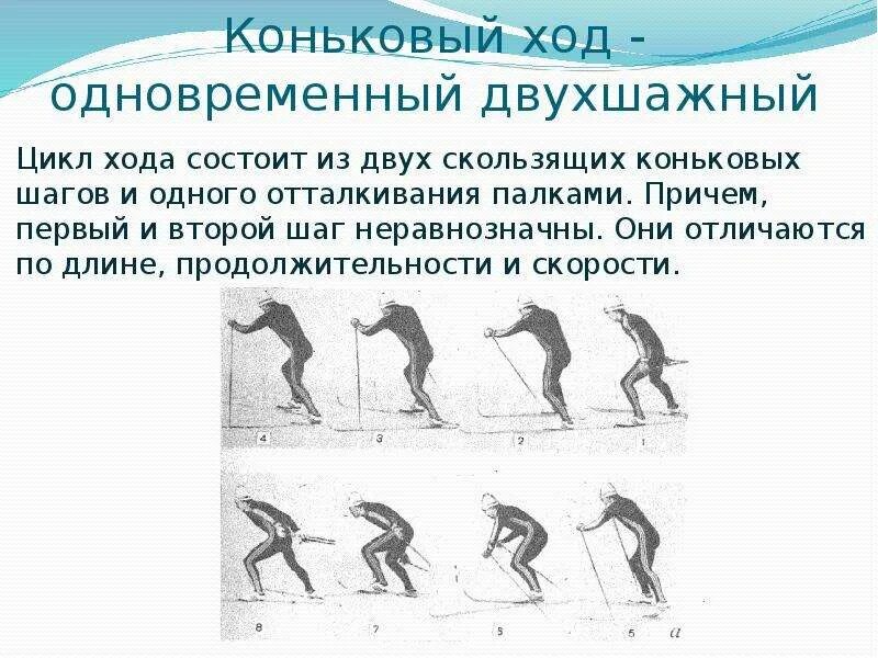 Цикл хода состоит