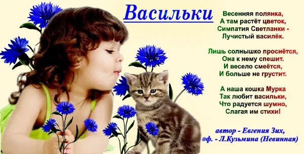 Василёк в книге эстетика. Стих про василек. Васильки кежун. Васильки: стихотворения. Васильки.