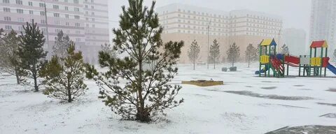 Чемской жилмассив новосибирск