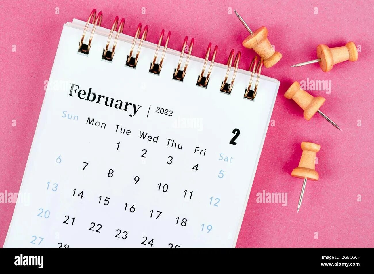 Календарь февраль 25. February 2022. February календарь красивый. Календарь 2022 розовый. Календарь февраль розовый.