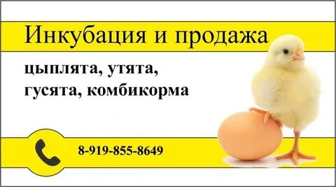 Инкубатор мечетинская ростовская область