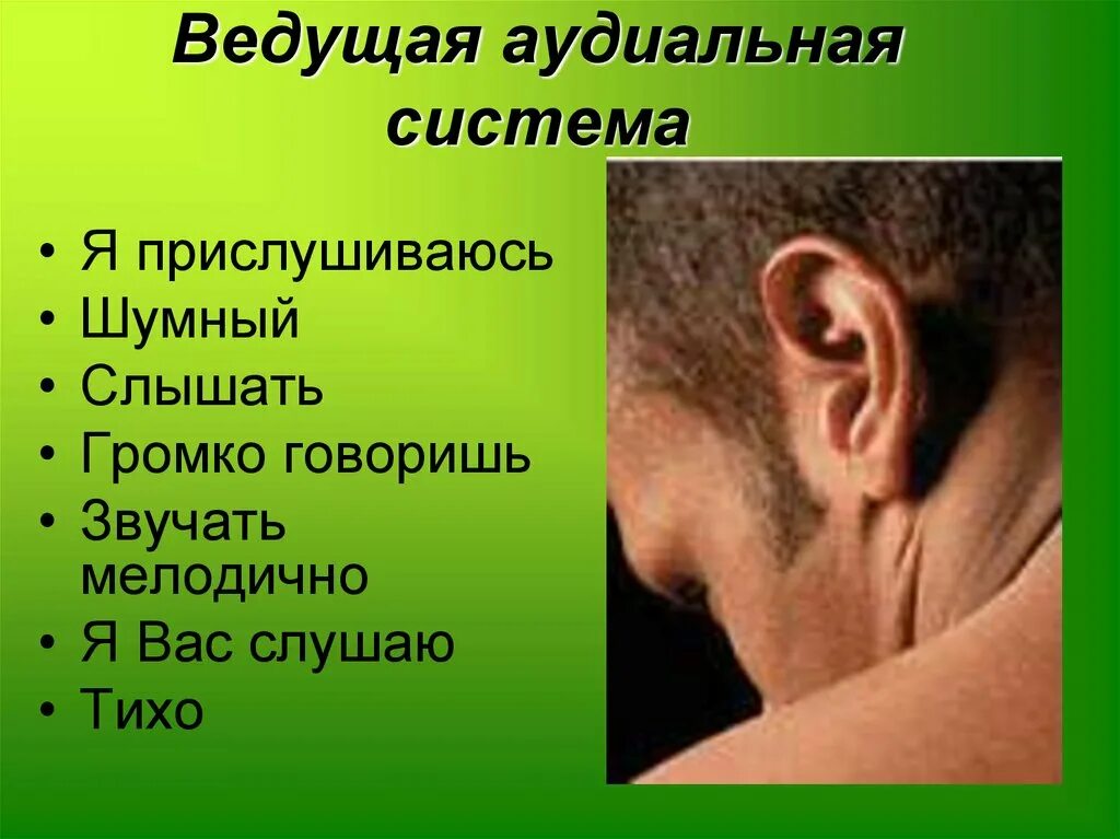 Аудиальная информация. Аудиальная система. аудиальная репрезентативная система. аудиальная информация ухо. аудиальная система картинки.