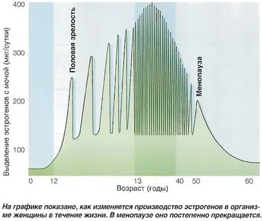 График гормонов
