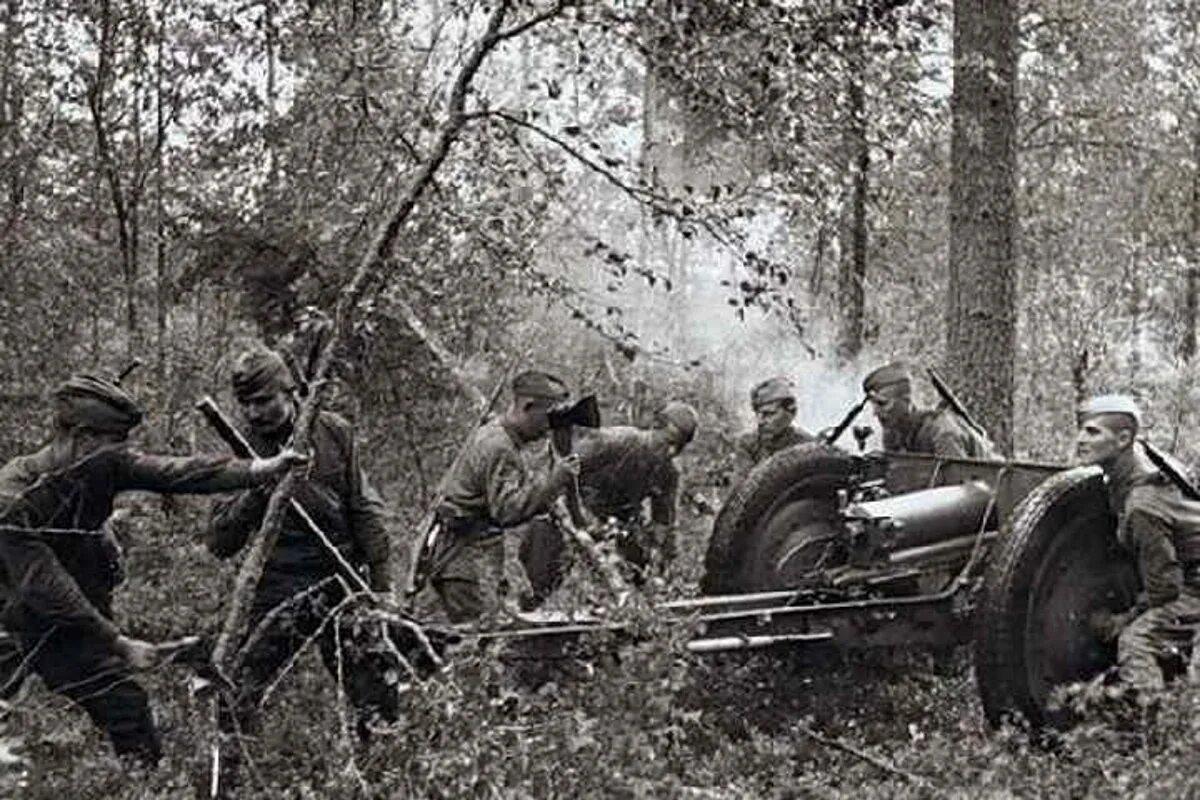 Фронт великой отечественной войны 41. Полковая пушка обр 1927 года в ВОВ. 76 Мм Полковая пушка образца 1927 года в ВОВ. Волховский фронт 1942 РККА.