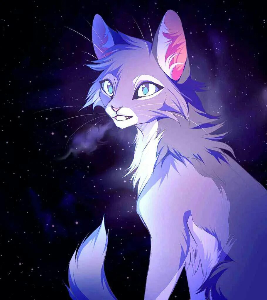 Коты воители невидимая звезда. Коты воители marymsjay. Коты воители невидимка. Коты воители невидимка. Коты воители невидимая звезда.