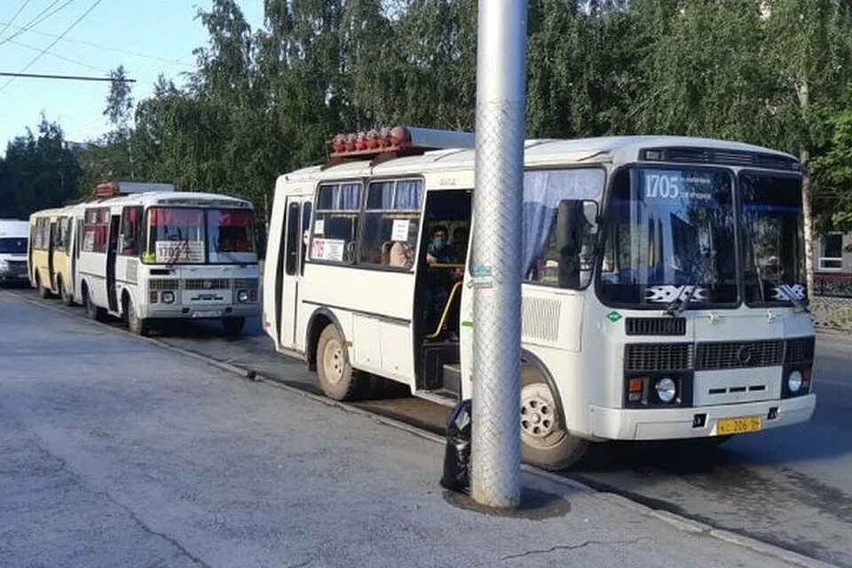 Дачные автобусы энгельс 2024. Автобус 1702 Новосибирск. Дачный автобус. Маршрутки Новосибирск. Новосибирская область, автобус.