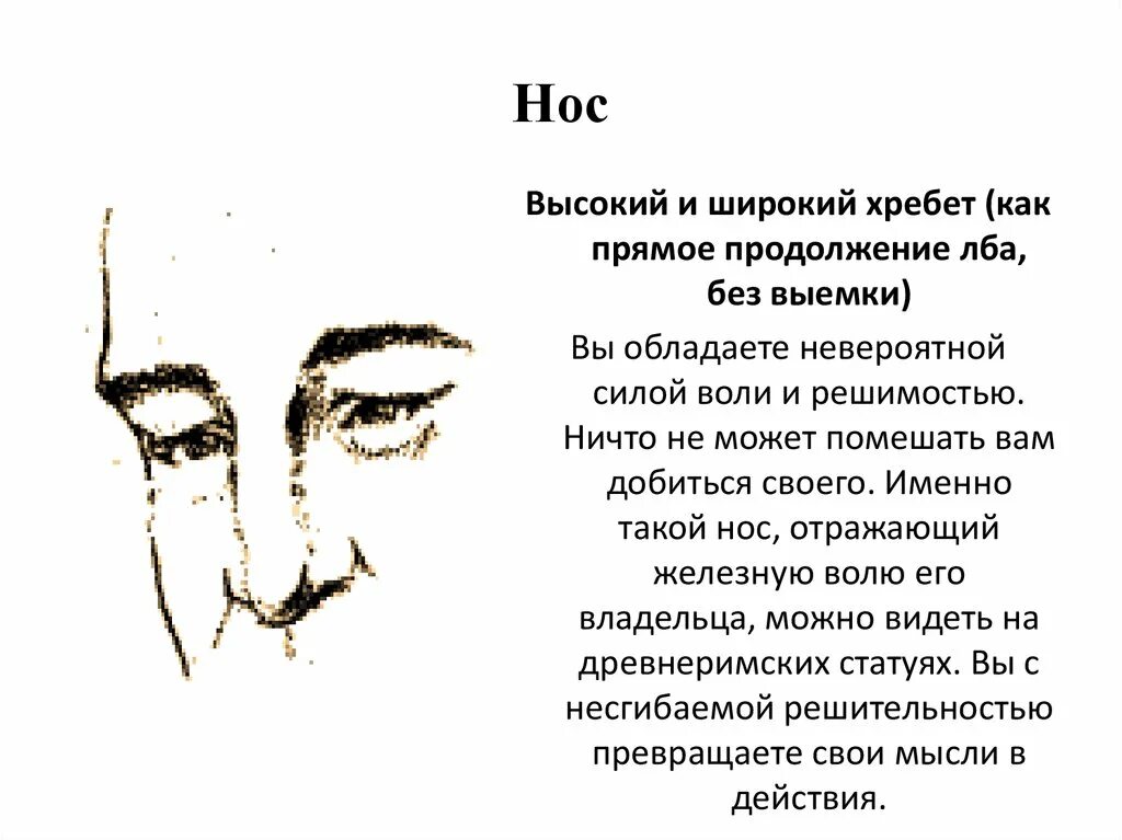 Физиогномика лоб. Физиогномика формы Носов. Физиогномика нос с горбинкой мужчина. Широкие ноздри физиогномика. Круглый кончик носа физиогномика.