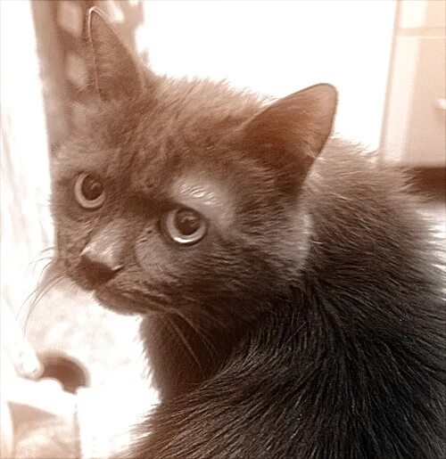 Что за шум. Там шумно. Цитаты про уют и тепло. Там снаружи. Застегнись.