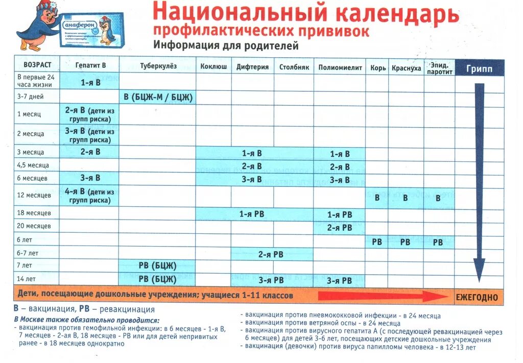Национальный календарь прививок РФ. График вакцинации детей в России. Таблица профилактических прививок у детей. График прививок для детей до года 2022. В садик какие прививки