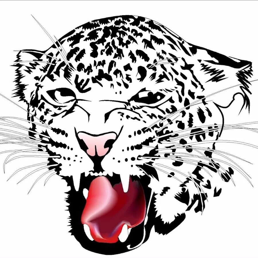 Векторные изображения корел. Рисунки в корел. векторное изображение coreldraw. картинки в кореле. векторный рисунок в кореле.