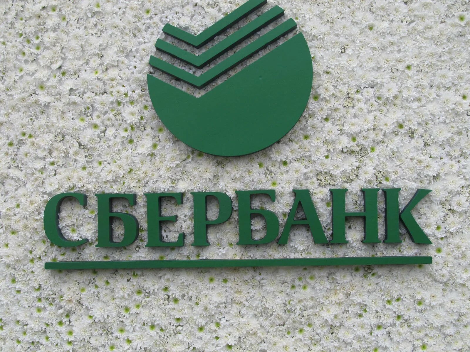 Логотип сбербанка 2025. Знак сбербанка. значок сбербанка новый. первая эмблема сбербанка. сбербанк логотип 2025.
