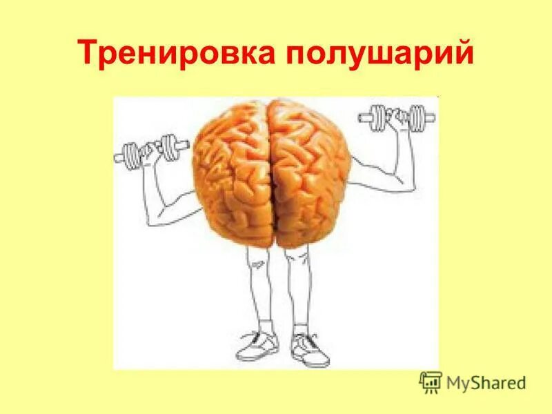межполушарная асимметрия. развиваем полушария мозга. занятия для развития правого полушария мозга. упражнения левое и правое полушарие. это.