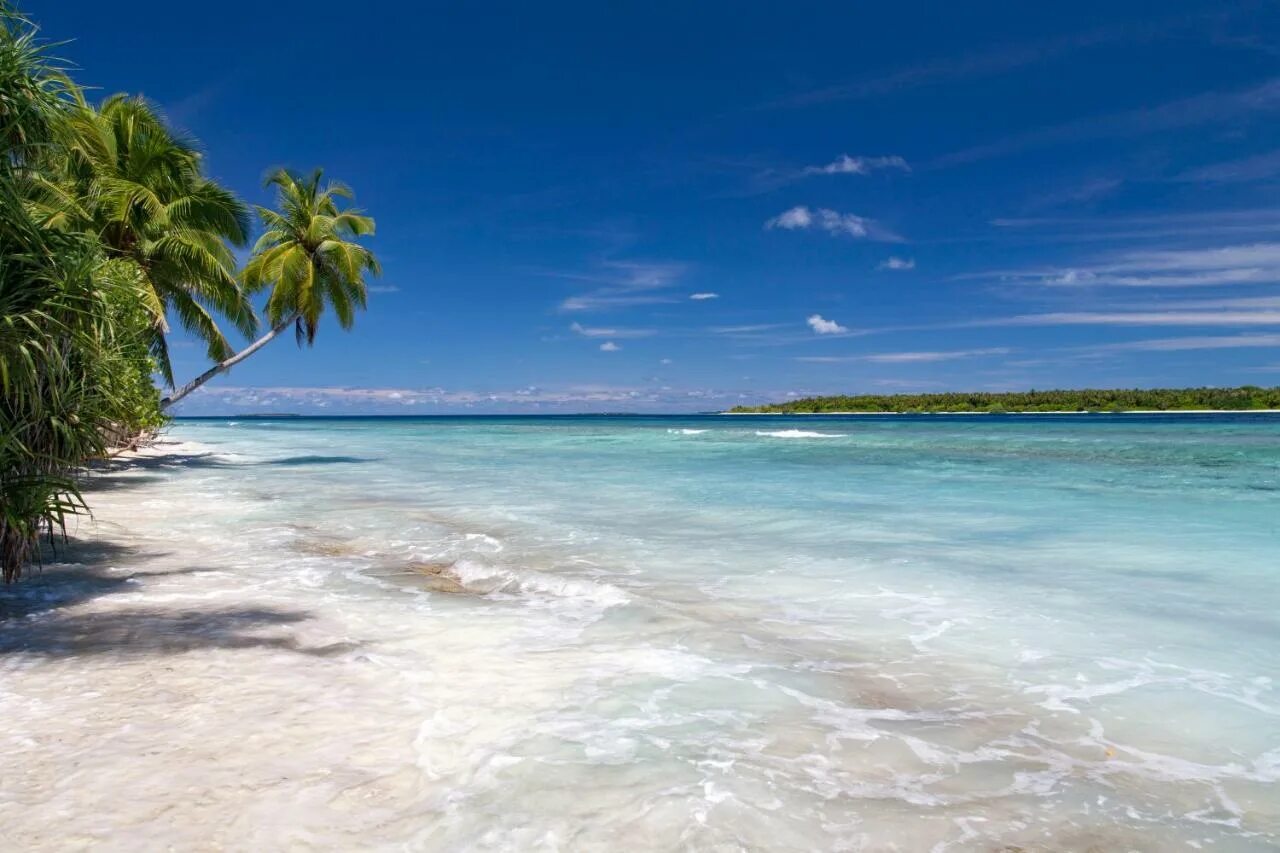 Майами бич океан. Голд бич австралия. Пляж минималистичный фон. Beach view. Sugar beach маврикий.
