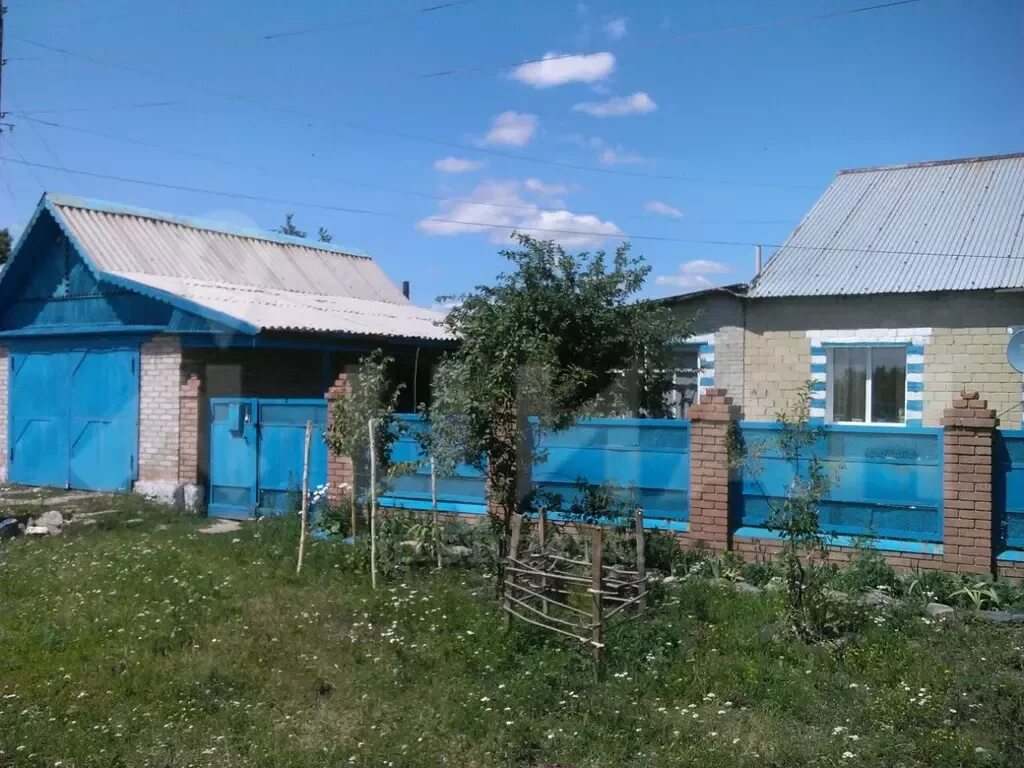 Большенаполовский. Подслушано в оноприеновке. Погода в оноприеновка кувандыкский. Снимки канчерово. Подслушано в оноприеновке.