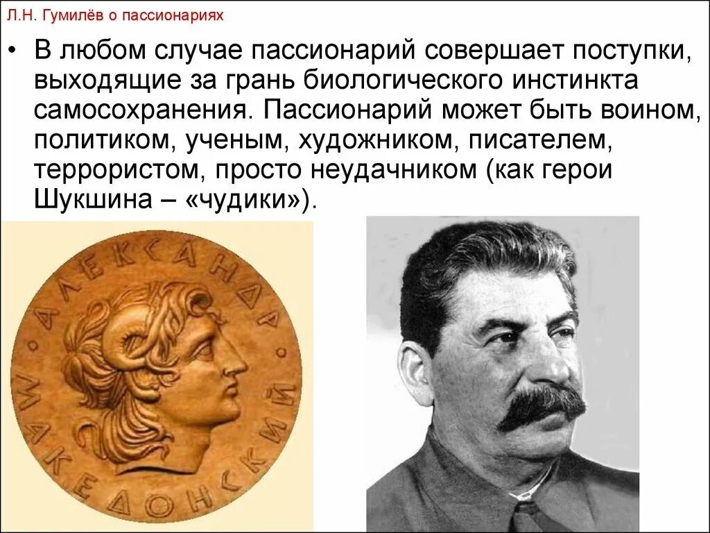 Пассионарий это простыми словами. Пассионарий. Пассионарная личность. Пассионарный человек это. Пассионарный человек пример.