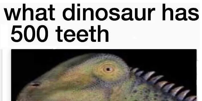 Уродливый динозавр. Нигерзавр череп. What dinosaur has 500 teeth. Нигерзавр. Нигерзавр jurassic world evolution.