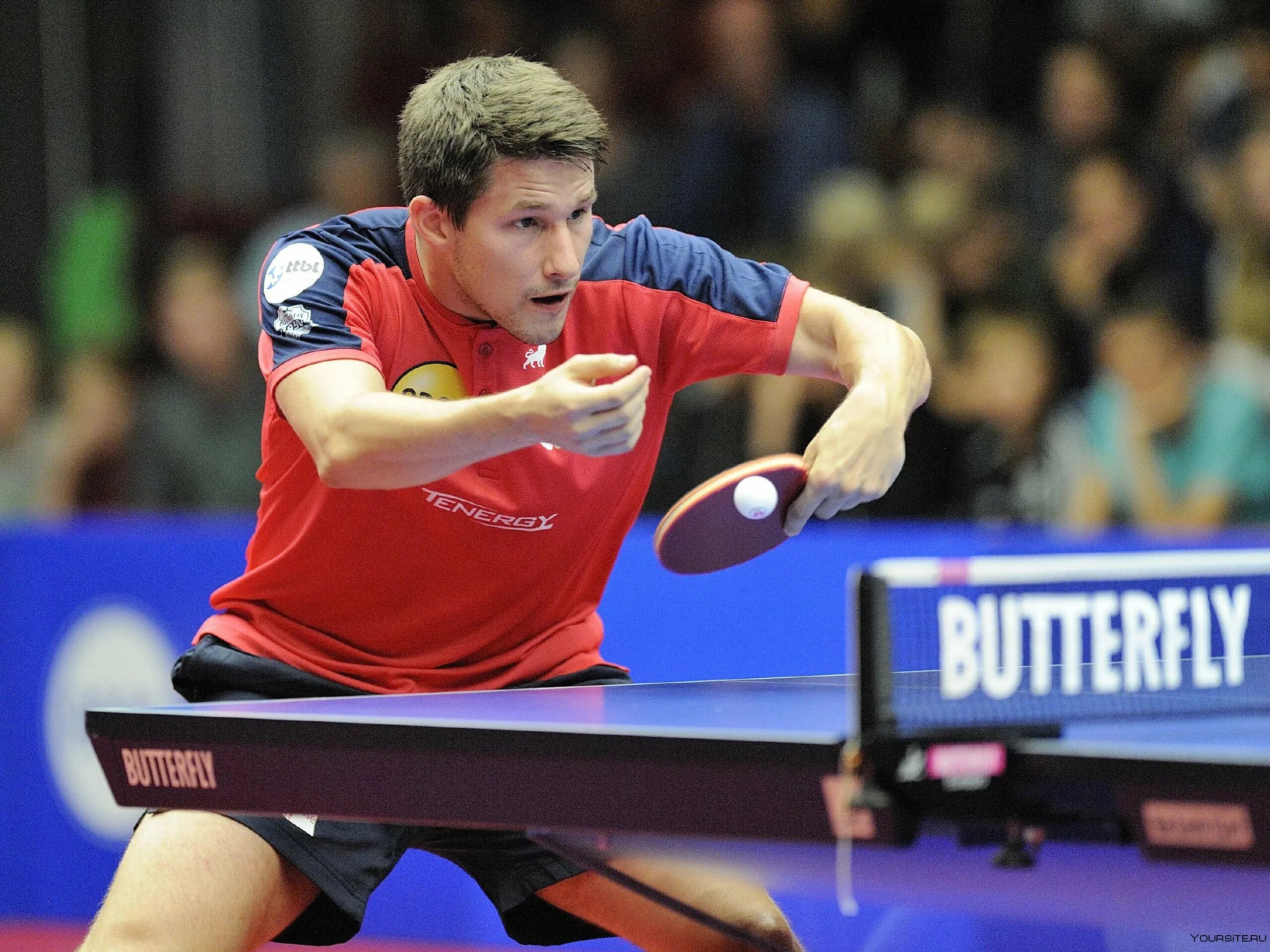 Table tennis игра. Настольный теннис техника и тактика игры. Уровень в настольном теннисе. Уровень в настольном теннисе. Теннисные подачи в настольном теннисе.