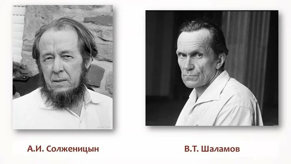 Лагерная тема писатели. Шаламов о Солженицыне. Солженицын портрет. Солженицын портрет писателя.