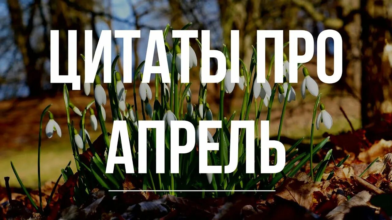 Цитаты апрель. Цитаты про апрель. апрель цитаты красивые. высказывания про апрель красивые. слоганы апрель.