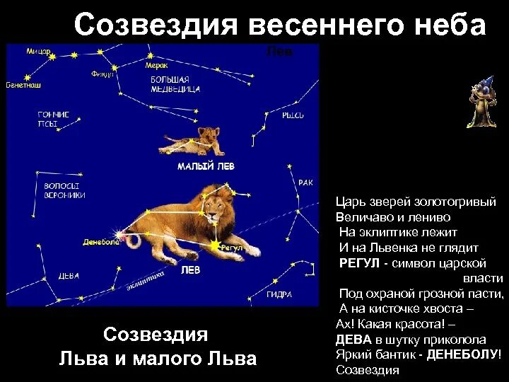 Атлас определитель 2 класс созвездия весеннего неба. Созвездие малый Лев рассказ. Созвездие весеннего неба Лев. Сазвездие весенего небо. Весенние созвездия и звезды.