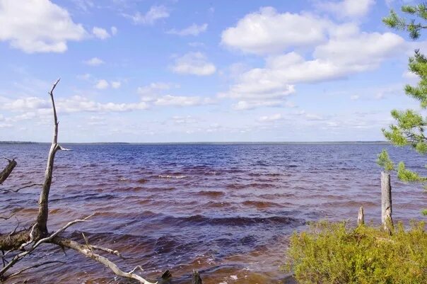 Синдорское озеро республика коми. Море кадам. Усть кулом озеро кадам. Озеро кадам презентация. Озеро кадам республика коми.