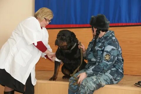 Специалист кинолог