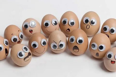 Eggheads