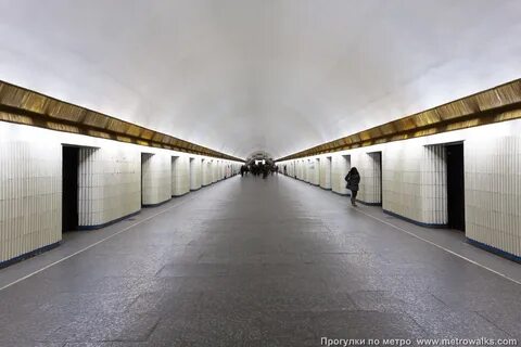 Метро петроградская рядом