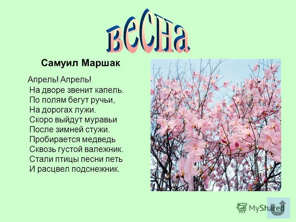 На дорогах лужи скоро выйдут муравьи. Стих Маршака апрель апрель. Стихи про апрель. Апрель Маршак стих.