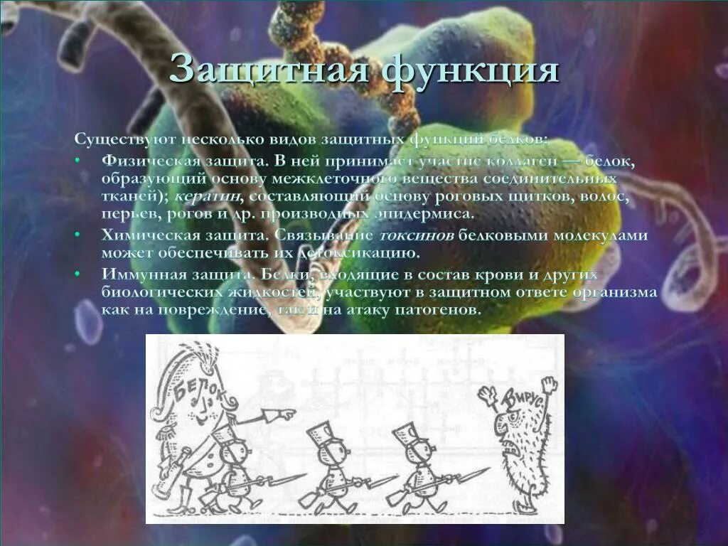 Функции токсинов. Белки токсины примеры. защитная функция белков. токсины функция белков. функции белков в организме  коллаген.