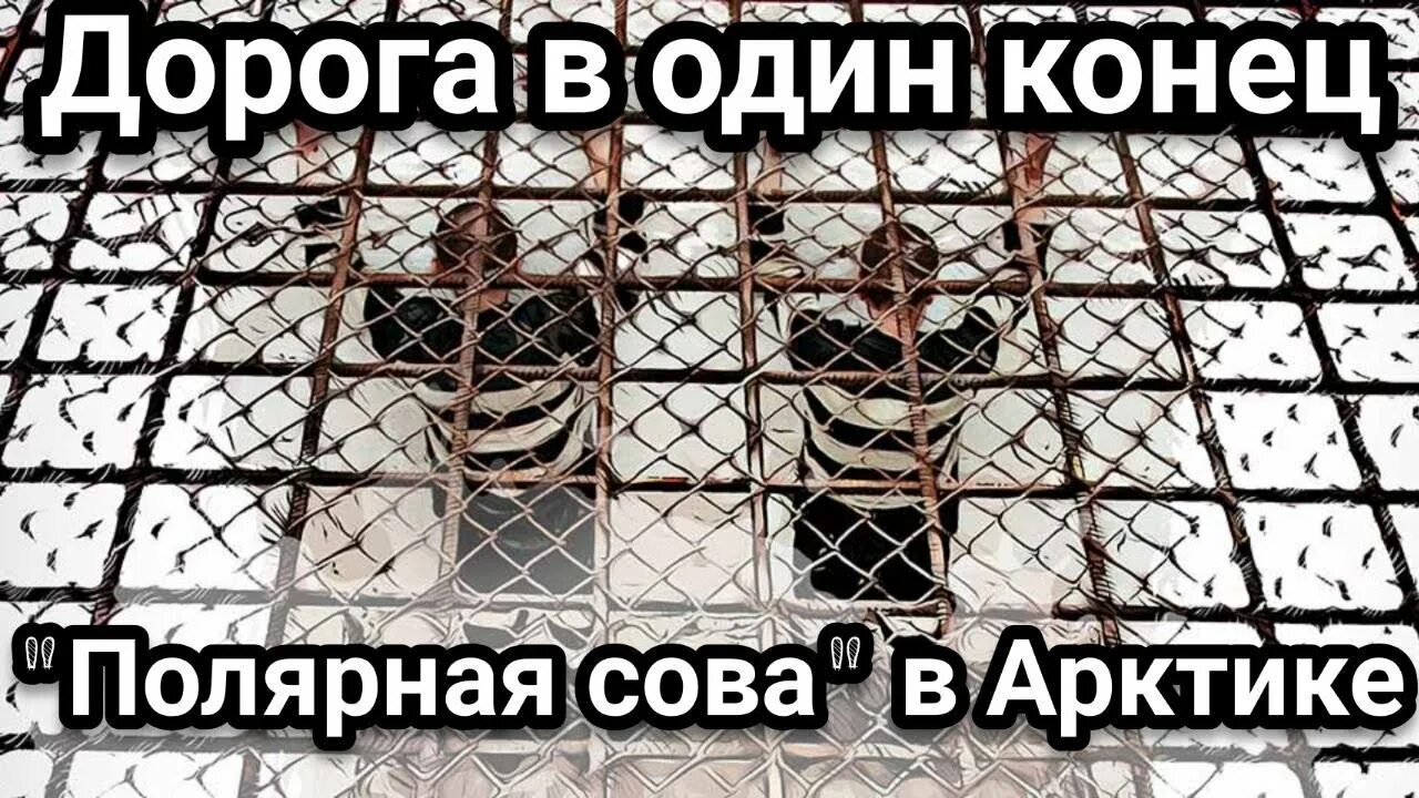 Кто сидит в полярной сове пожизненно список