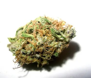 Maui Waui (Maui Wowie) is one of the most recognizable names in weed out th...