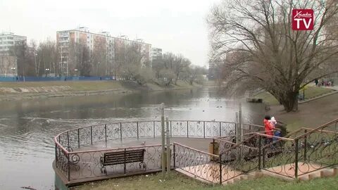 Пруды в геншине