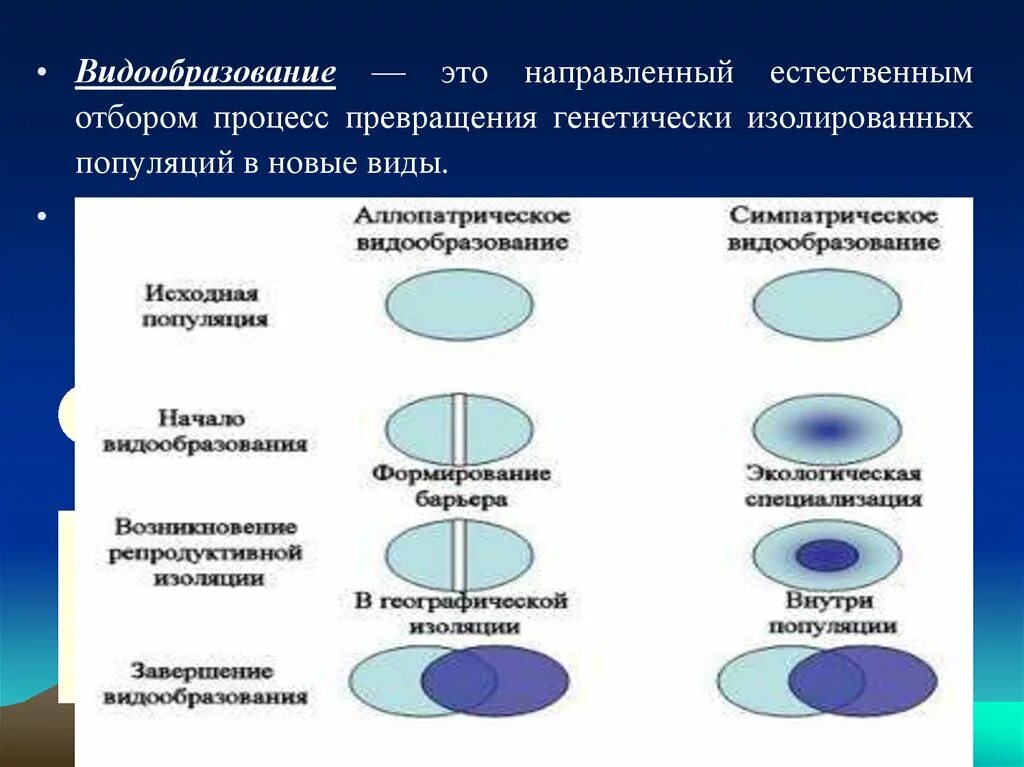 Видообразование тест 9. Видообразование механизмы видообразования. Схема видообразования. Пути возникновения новых видов видообразование. Способы видообразования схема.