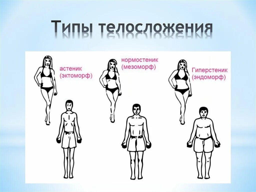 Какие бывают тела. Астеник пикник Атлетик Диспластик. Типы телосложения пикник астеник Атлетик. Типы фигур астеник нормостеник гиперстеник. Типы Конституции тела человека астеник.