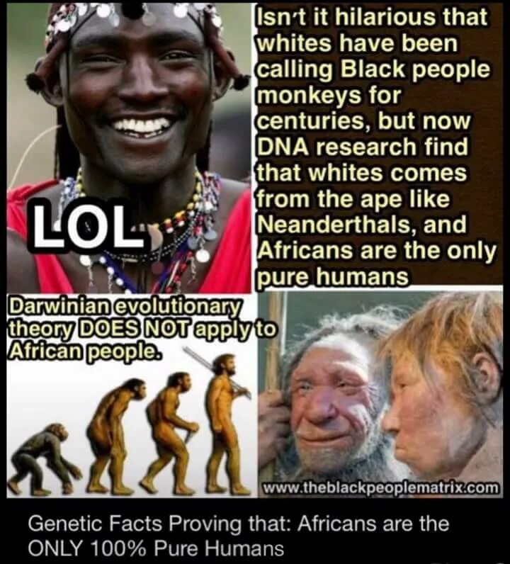 Обезьяний народ. Тюрки обезьяны. Black people memes. Have you been to africa