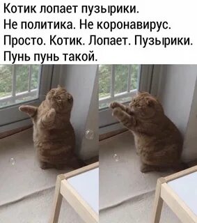 Пунькают мне в носик