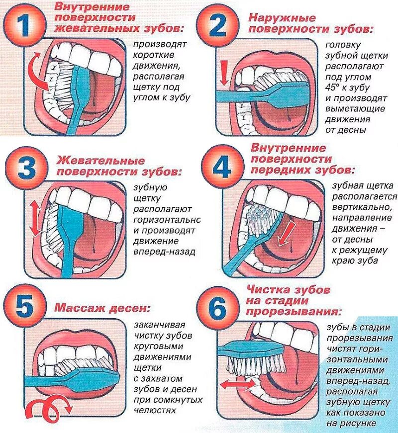 Когда лучше чистить зубы. Стандартный метод чистки зубов схема. Алгоритм стандартного метода чистки зубов. Стандартный метод чистки зубов (Пахомов г.н.). Чистка зубов по Пахомову методика.