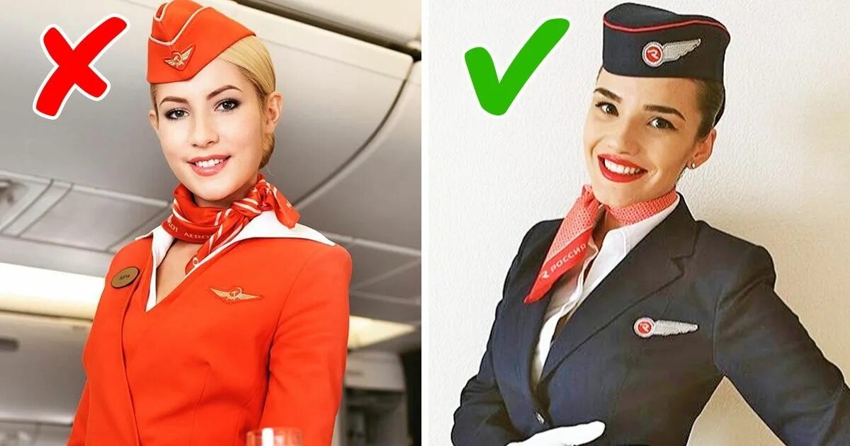 Стюардессам нужно высшее образование