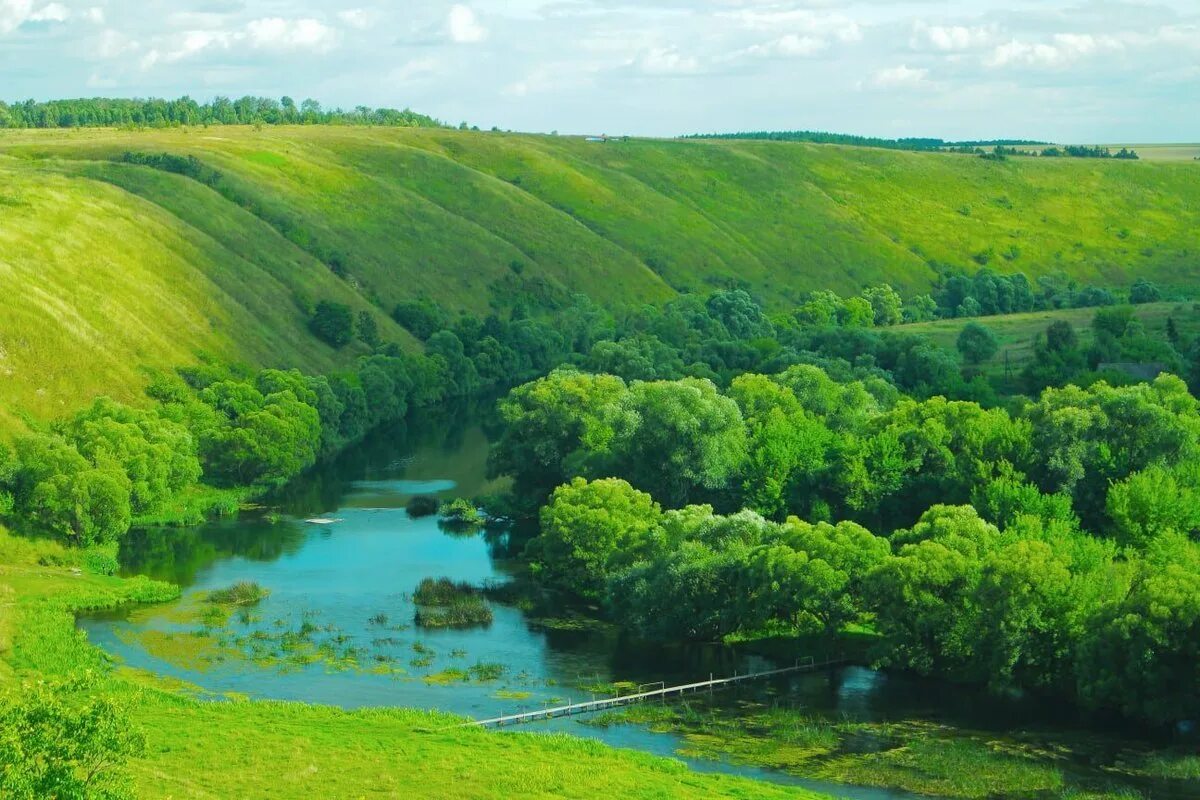 Природа орловского края. Какая земля в орле. Какая земля в орле. Какая земля в орле. Какая земля в орле.