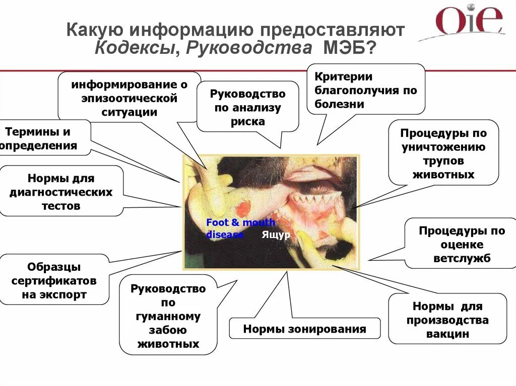 Какую информацию дает